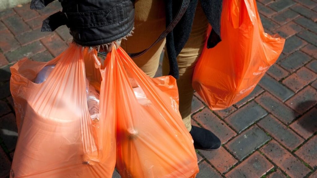 UAE Announces Total Ban On Single Use Plastic Bags From 2024 News   1673364498 Image.khaleejtimes.com 1024x576 