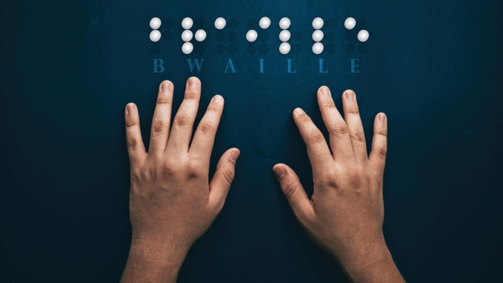 UAE World Braille Day Building inclusive spaces News UAE Times