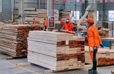 Global timber market to reach 3 billion by 2026, report says