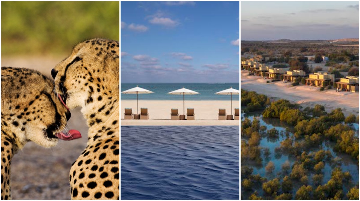 These hotels on Sir Bani Yas Island are having a massive flash sale