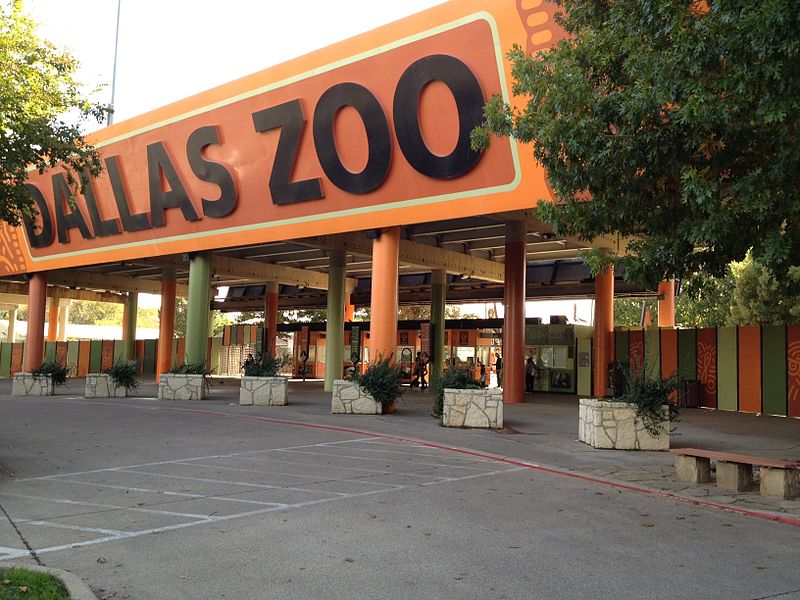 Dallas Zoo animals missing, dead, injured : Animals : Natural World News