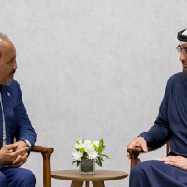 Somali President Hassan Sheikh meets UAE President in Abu Dhabi