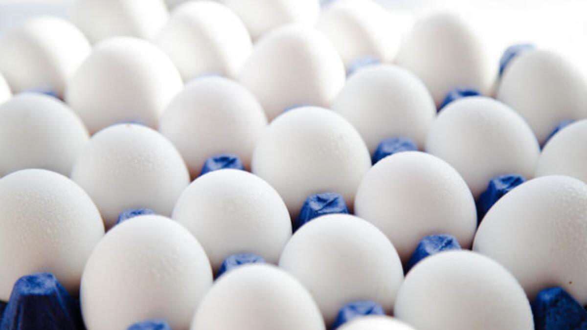 UAE announces temporary increase in egg prices – News