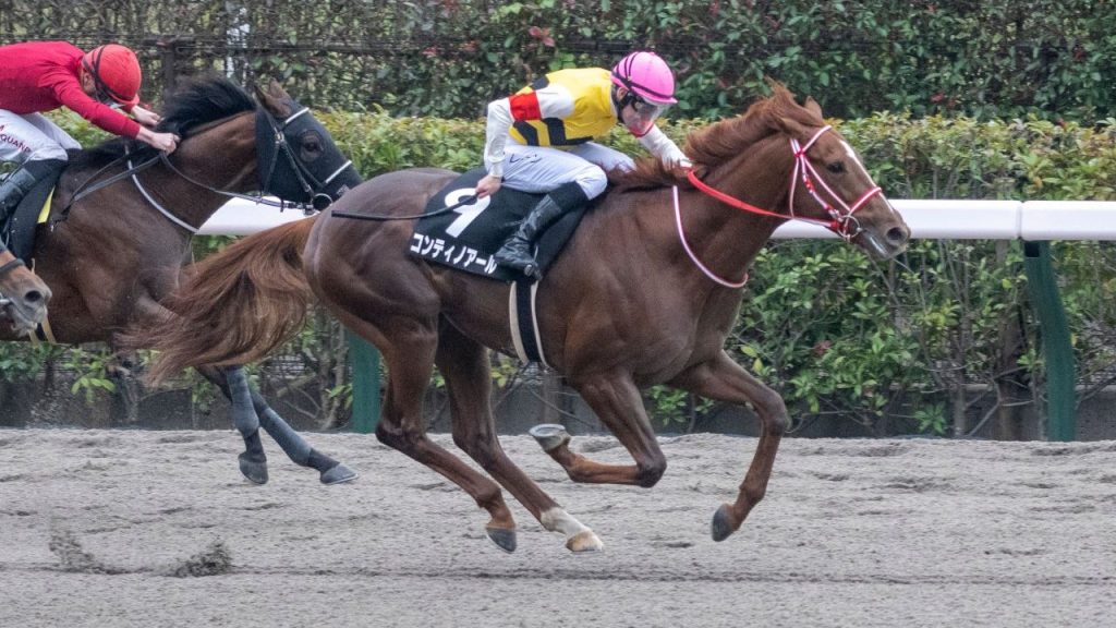 Meet the Contenders UAE Derby 2023 UAE Times