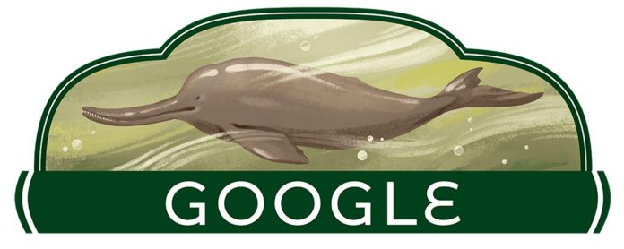 Indus River dolphin doodle