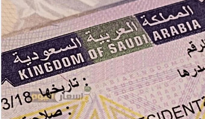 Saudi Arabia Unveils Empowering New Visa for International Students