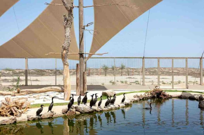 Sharjah