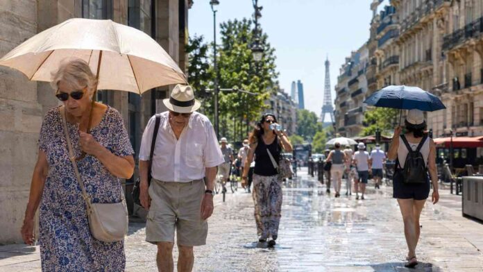 France Heatwave Deaths