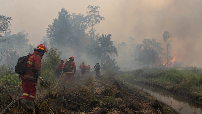 Indonesia Wildfires 2026
